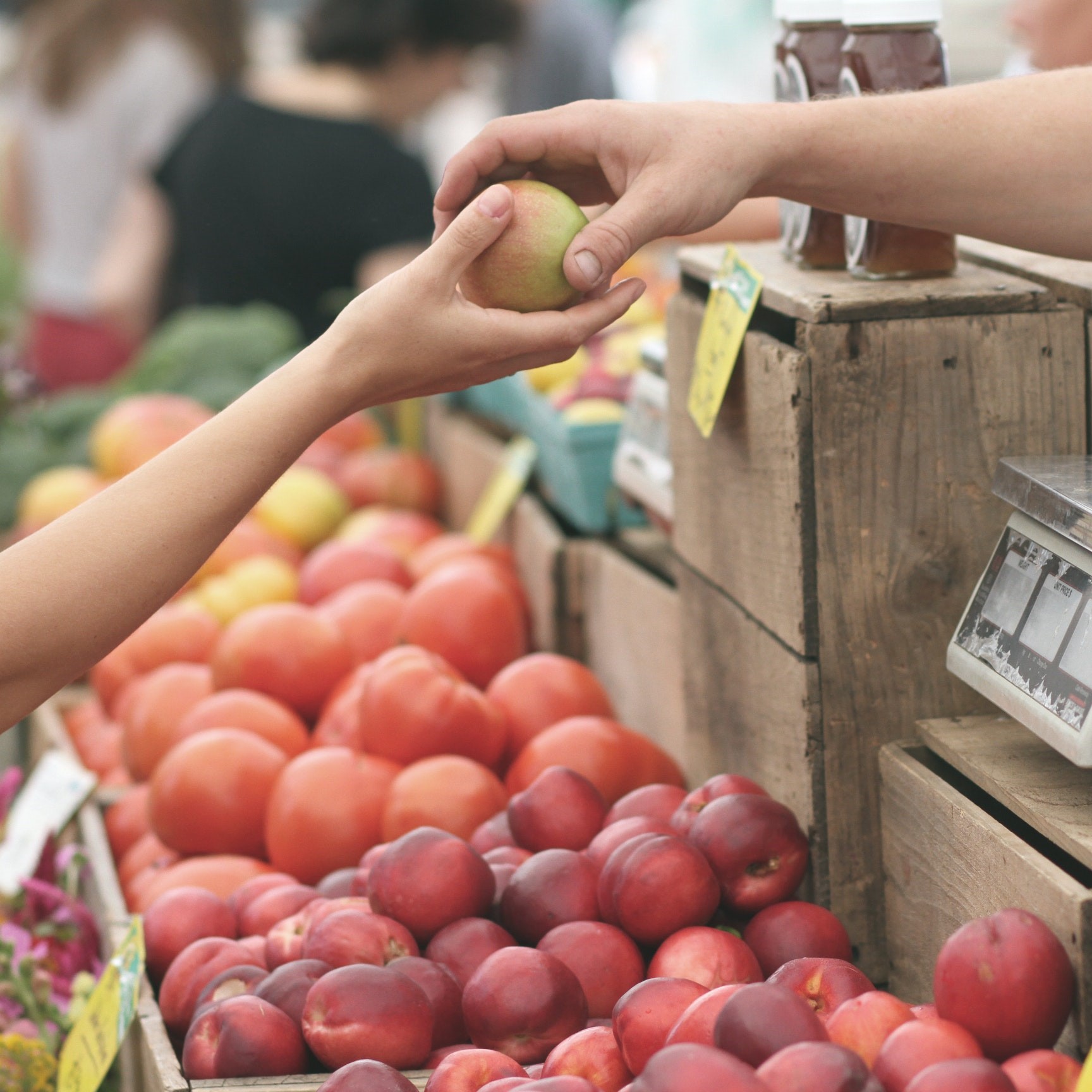Blog Why focus on short food supply chains? FOX